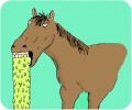 Horsesticker4.jpg