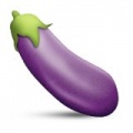 160x160xaubergine.png.pagespeed.ic.kEpr54nbO6.jpg